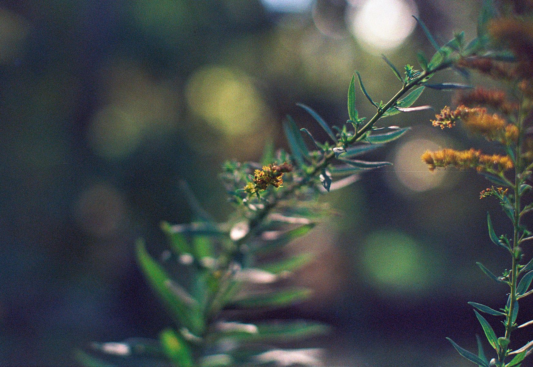 68fdad2f54c425b7e4ef6480