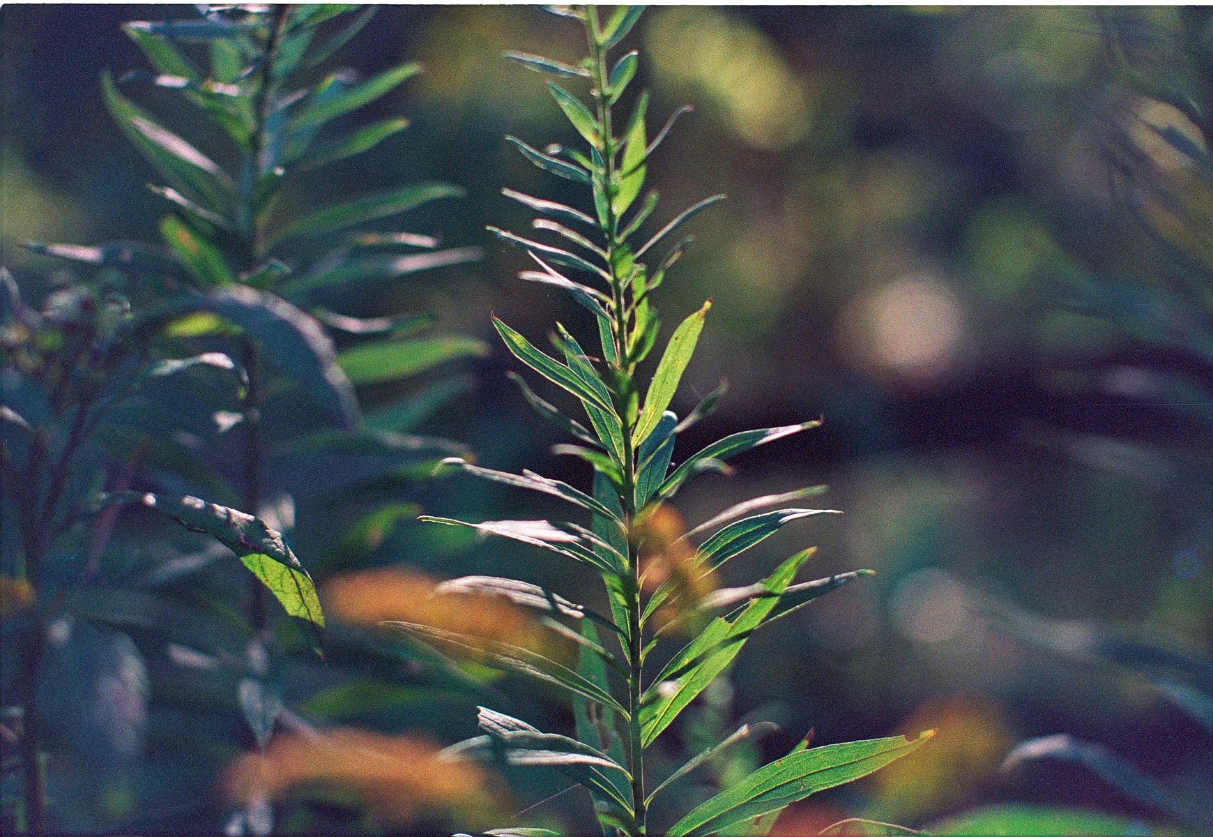 68fdad2f54c425b7e4ef6480