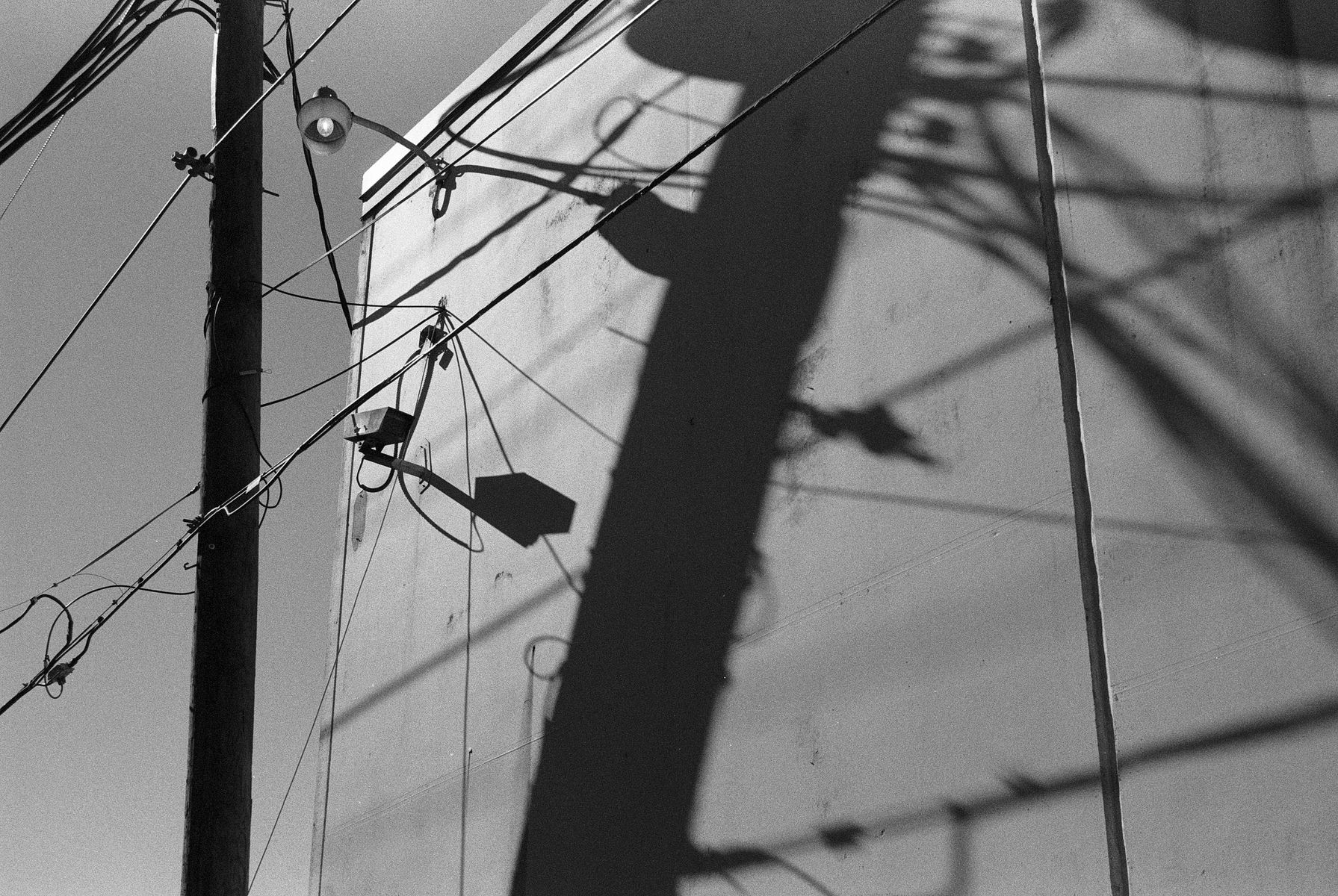 68fc41ca15f95b21dafea4d1