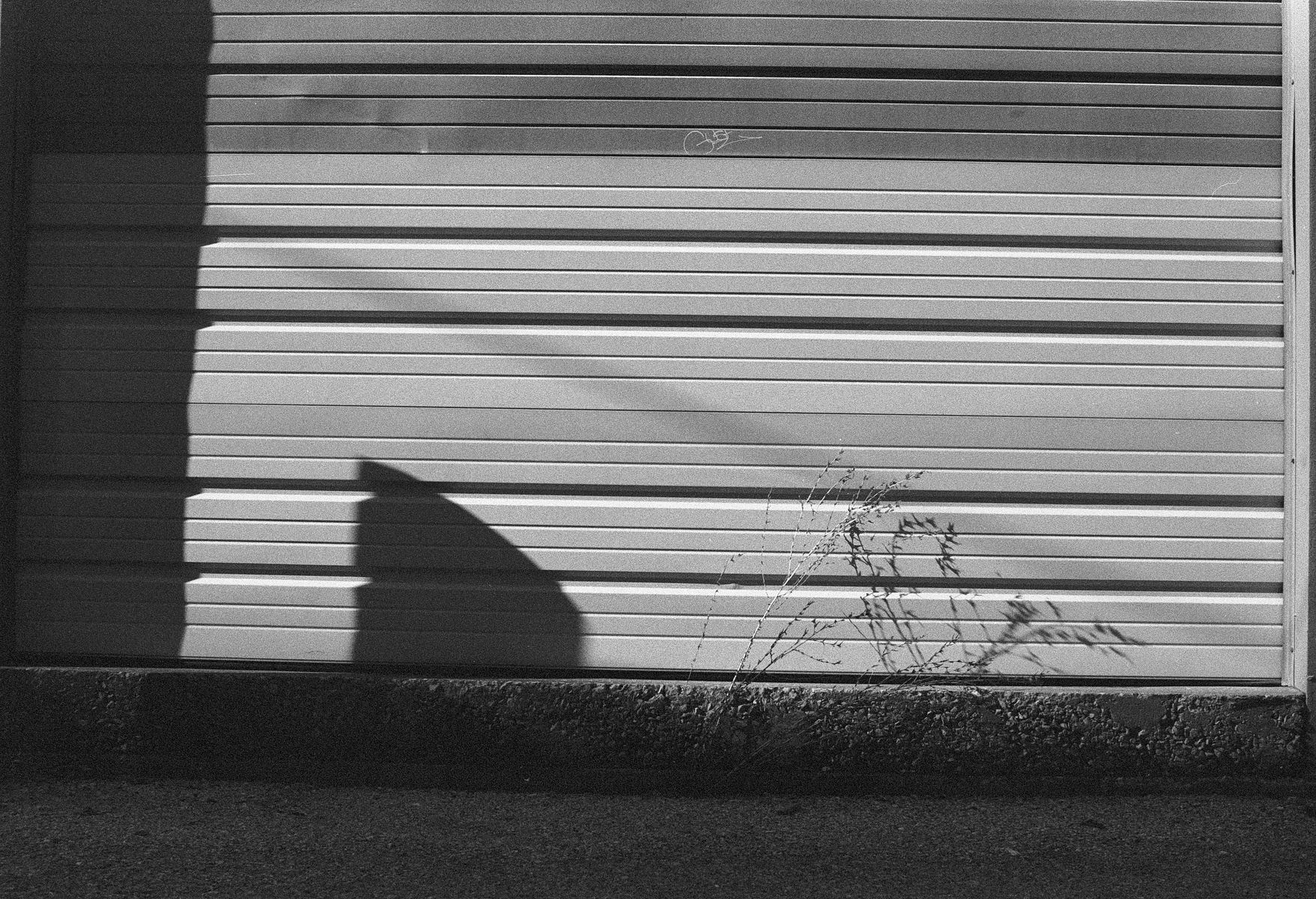 68fc41ca15f95b21dafea4d1