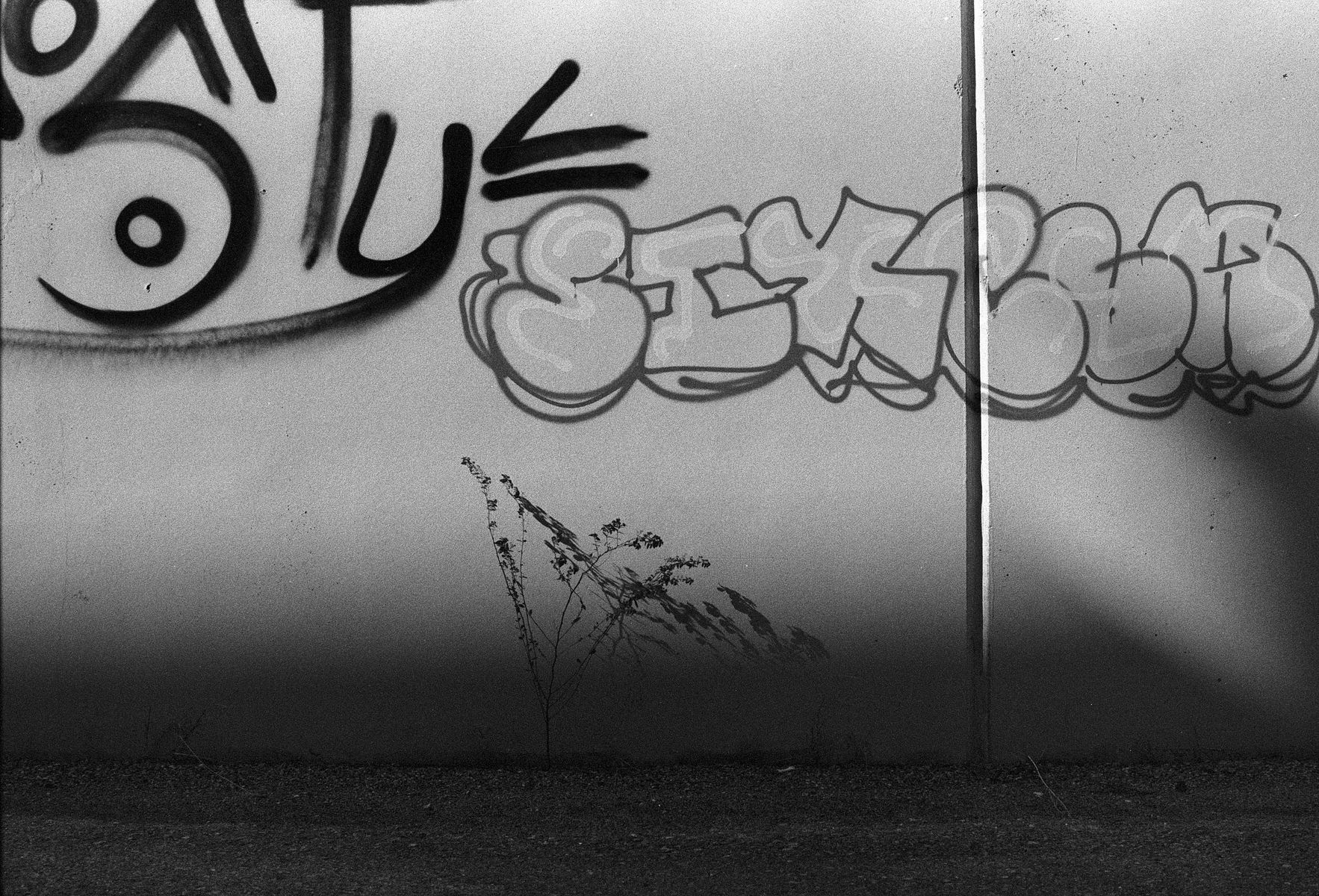 68fc41ca15f95b21dafea4d1