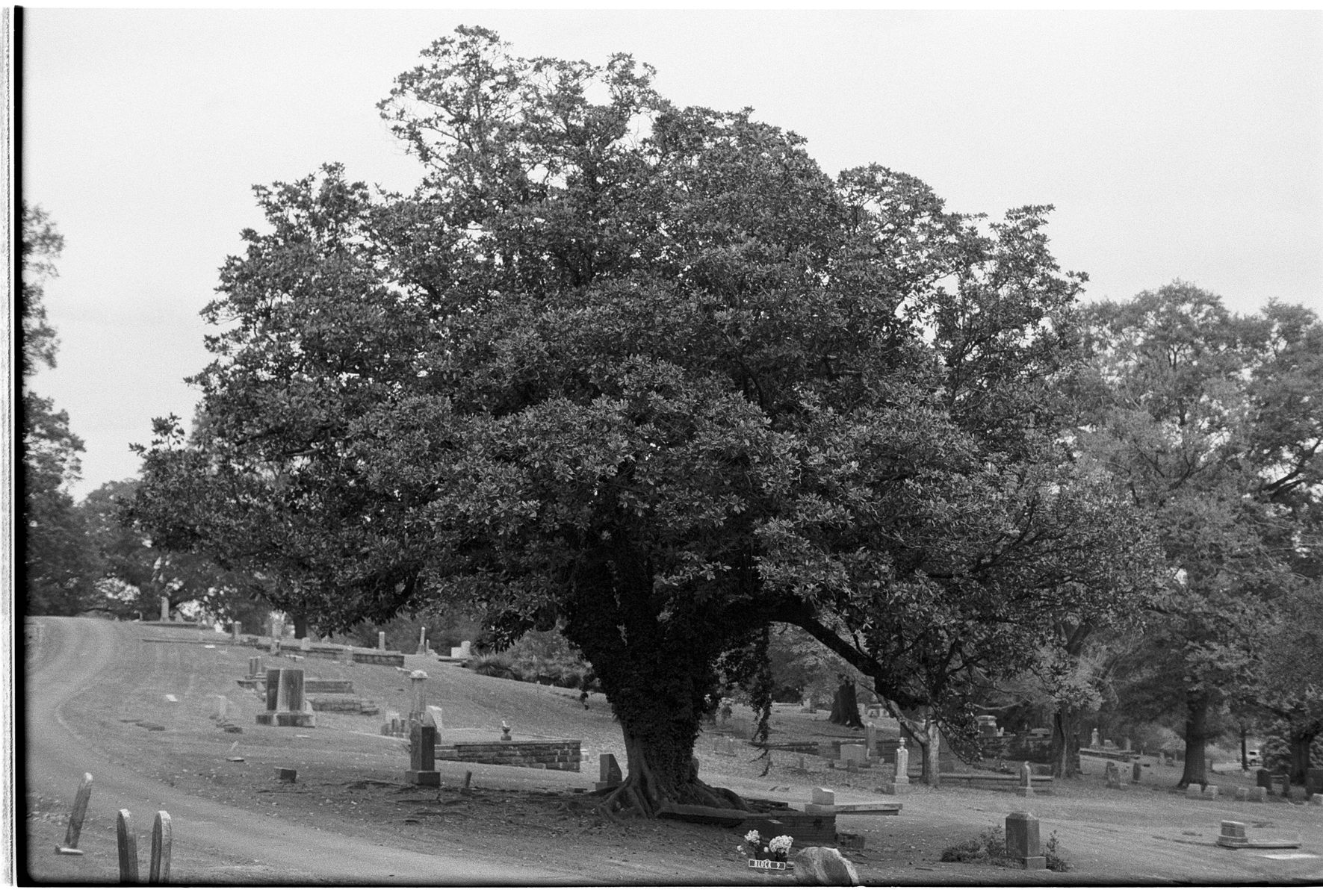 68fc41ca15f95b21dafea4d1