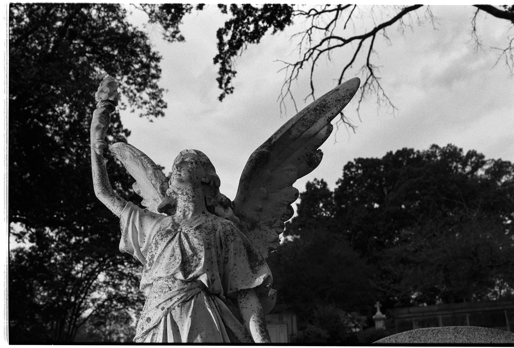 68fc41ca15f95b21dafea4d1