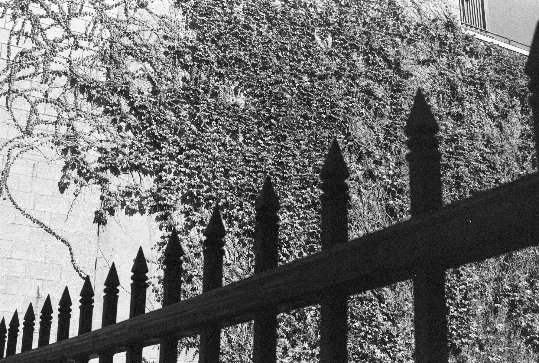 68fc41ca15f95b21dafea4d1