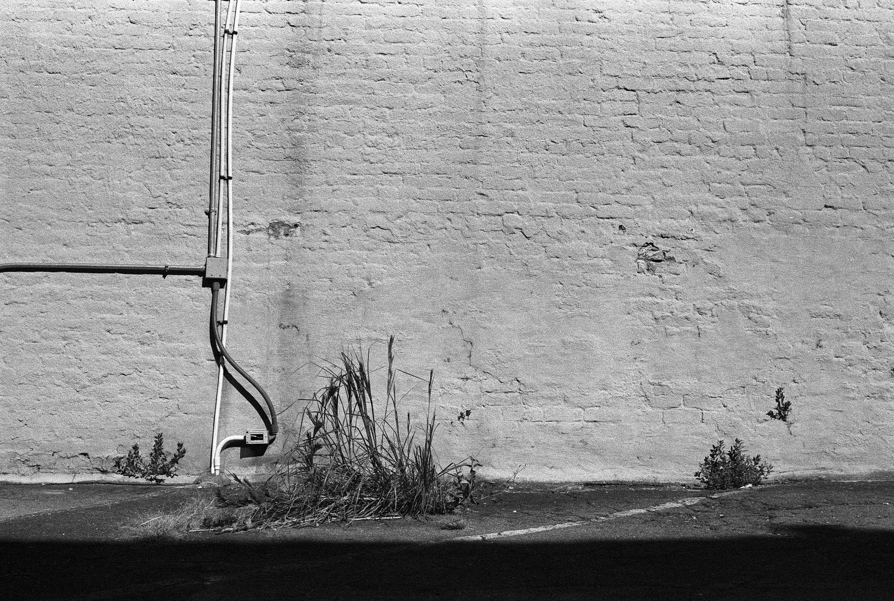 68fc41ca15f95b21dafea4d1